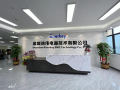 Производитель источника для балансировщика батареи и БМС